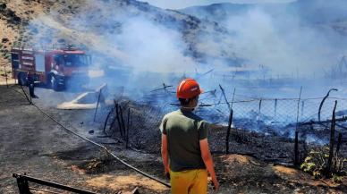 150 oğlak telef oldu