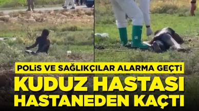 Polis ve sağlıkçılar alarma geçti: Kuduz hastası hastaneden kaçtı