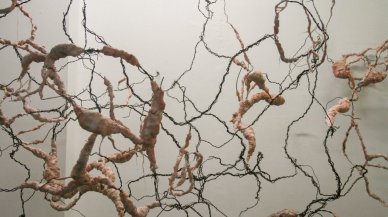 Üniversiteli genç sanatçılara çağrı!