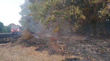 Ağaçlara sıçrayan yangın büyümeden söndürüldü