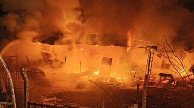 Ahırda açık unutulan lamba patladı: Onlarca hayvan telef oldu