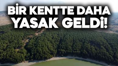 Bir kentte daha ormanlara girişler yasaklandı