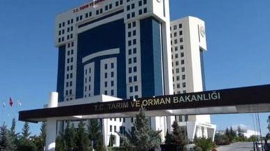 Bakanlık açıkladı: Destek ödemeleri hesaplara aktarıldı