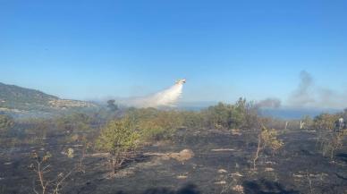 Çanakkale’de orman yangını