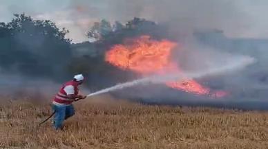 Edirne'de anız yangını, ormana sıçradı!