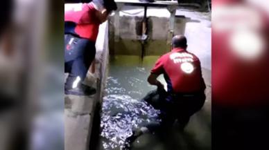 Sulama kanalında erkek cesedi bulundu