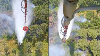 Balıkesir'deki orman yangını kontrol altına alındı
