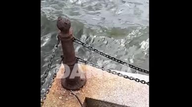 Silivri sahilinde korkutan görüntü!