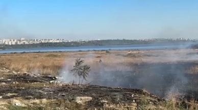 Avcılar'da otluk alanda yangın! Güvercin kulübesine ulaşmadan söndürüldü