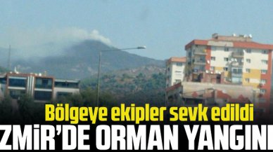 İzmir'de orman yangını! Bölgeye ekipler sevk edildi