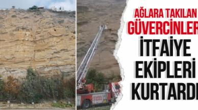 Silivri'de çelik ağlara takılan güvercinleri itfaiye ekipleri kurtardı