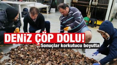 Bilim insanlarının deniz araştırmasında korkutan sonuç: Deniz çöp dolu!