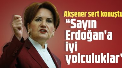Meral Akşener: "Sayın Erdoğan'a iyi yolculuklar"