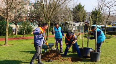 Onlarca ağaç dikildi
