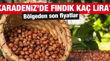 Fındık kaç lira? 2 Mayıs 2022 Pazartesi güncel fındık fiyatları