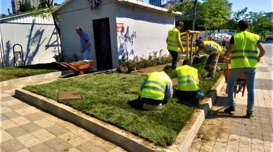 2 bin metrekare çim serildi