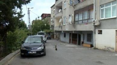 Maltepe'de tartıştığı eşini bıçakla ağır yaraladı