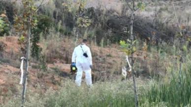 Maltepe’de arsada ceset bulundu