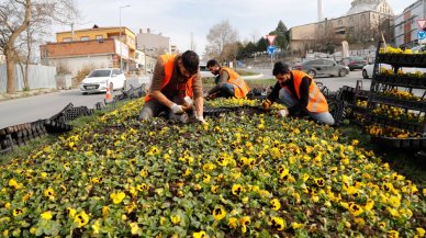 Arnavutköy Belediyesi bol bol çiçek ekti!