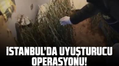 İstanbul'da 11 ilçede uyuşturucu operasyonu: 3 bin 916 gözaltı