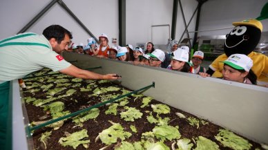 1 milyon işçi solucan organik atıkları dönüştürüyor!