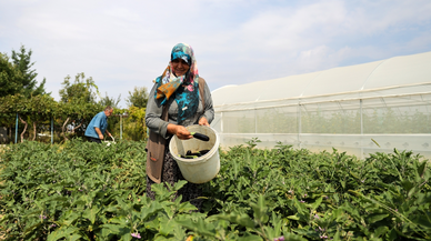 Doğal üretimle geçinen çift bahçesini devlet desteğiyle geliştirdi
