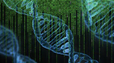 Bilim insanları 3 bin 600 yıllık peynirin DNA'sını diziledi