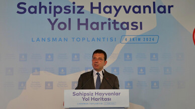 Ekrem İmamoğlu: Tek bir hayvanın bile uyutulmasına izin vermeyeceğiz