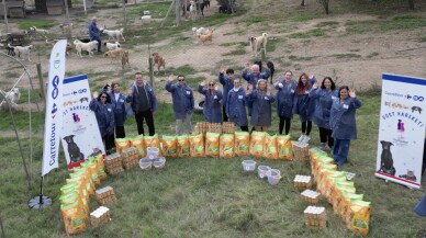 CarrefourSA Dost Hareketi ile Sokak Hayvanlarına Desteğe Devam Ediyor