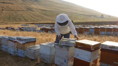 Doğal bal nasıl anlaşılır?