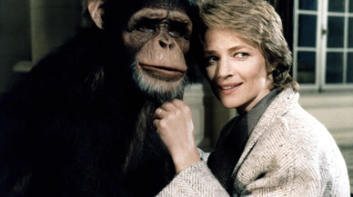 İstanbul Modern Sinema’nın yeni programında insan ve hayvan başrolde