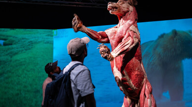 Animal Inside Out sergisi İstanbul Cevahir'de