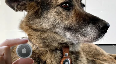 Evcil hayvanınıza AirTag takmayın!