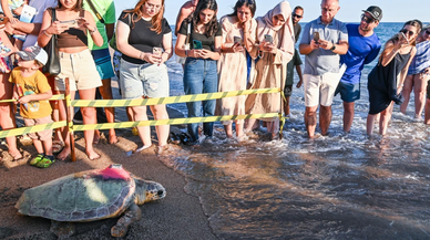 Antalya'da tedavileri tamamlanan iki caretta caretta denize bırakıldı