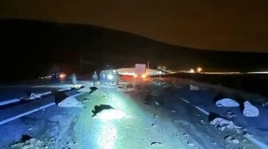 Ardahan'da küçükbaş hayvanlar telef oldu