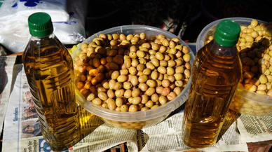 Ayvalık Ticaret Odasından hasat yaklaşırken tüketicilere "sahte zeytinyağı" uyarısı