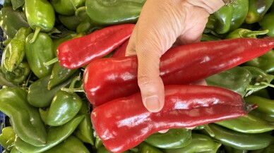 Batı Akdeniz'in 9 aylık ihracatı 2 milyar dolara yaklaştı