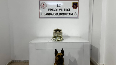 Bingöl'de 11 kilo 250 gram esrar ele geçirildi