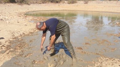 Bodrum'da kuraklık nedeniyle su seviyesi düşen göletteki balıklar kurtarıldı
