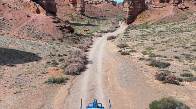 Charyn, 190 hayvan ve 1500 bitki türüne ev sahipliği yapıyor