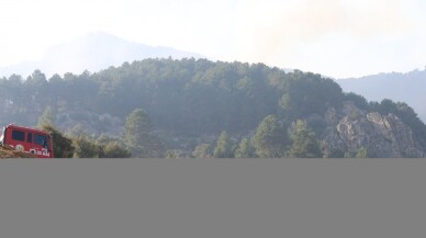 Denizli'deki orman yangınına müdahale sürüyor