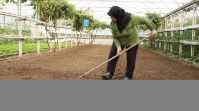 Devlet desteğiyle seracı olan kadın yetiştirdiği ürünleri müşterilerine satıyor