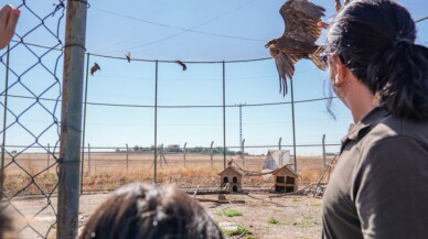 Diyarbakır'da öğrenciler yabani hayat konusunda bilinçlendiriliyor