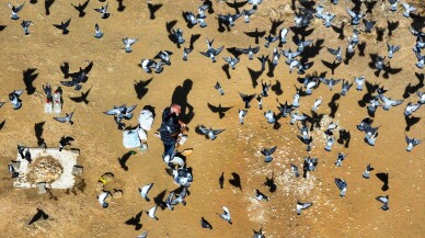 Doktorun yürüyüş önerisi kuşlara yaradı