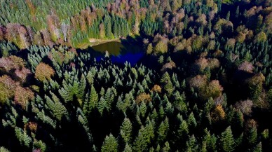 Düzce Torkul Göleti, sonbahar renkleriyle ziyaretçilerini ağırlıyor