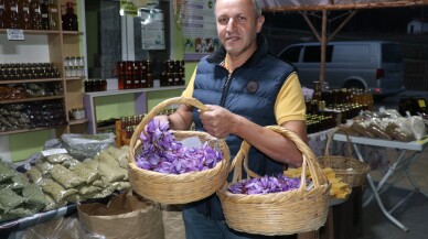 Karabük'te mora bürünen safran tarlaları ziyaretçilerini ağırlıyor