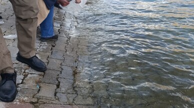 Karakaya Baraj Gölü'ne 750 bin balık yavrusu bırakıldı