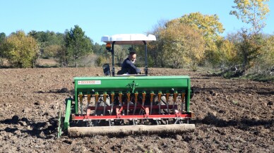 Kastamonu'da 12 bin yıllık siyez buğdayı ekimi başladı