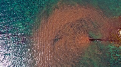 Kirli suyun arıtılmadan denize boşaltıldığı ihbarına inceleme
