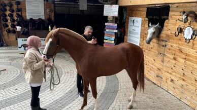 Kocaeli'de binek atların bakımına "kuaför" dokunuşu